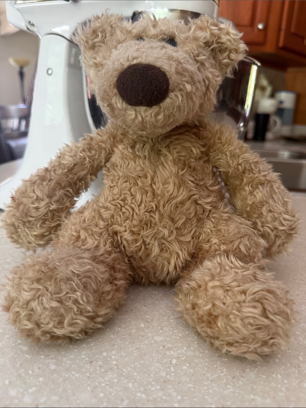 Pottery Barn Kids PBK Gund Clancy Brown Bear 11” Stuffed Animal Plush Toy Teddy